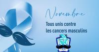 Echos de novembre 2024...